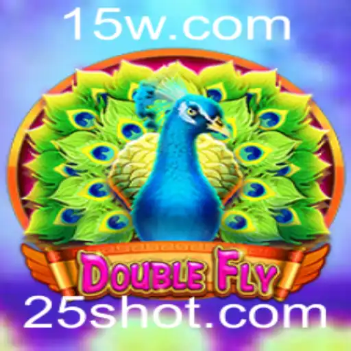 DoubleFly: Explorando um Novo Universo de Diversão Rápida